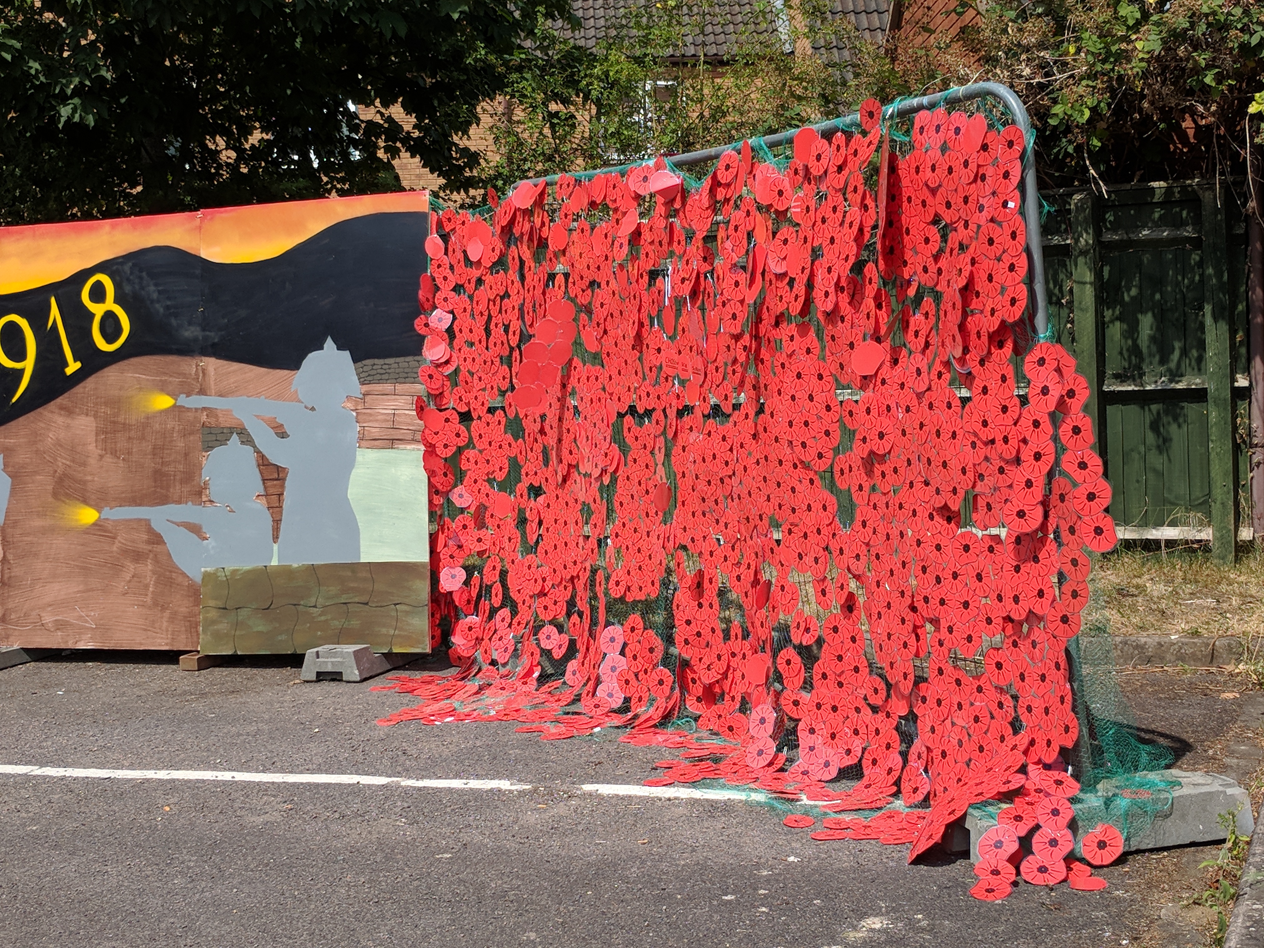 Picture of the Poppy Wall